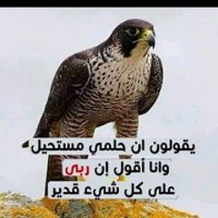 اصيل من صلب التورة