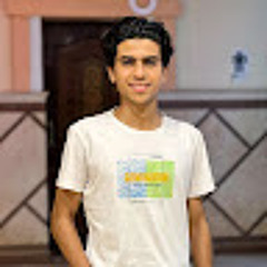 Mohamed asem
