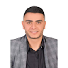 Abdelmonem Ali