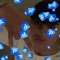 dolf_frm80th