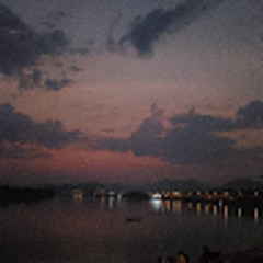 Linh Nguyễn Trịnh Thùy