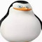 qwzxlxawww