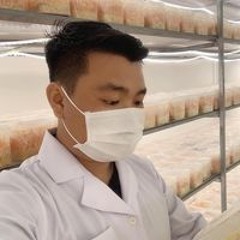 Hoàng Tín Việt Úc