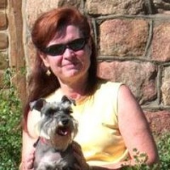 Schnauzer Snuggler