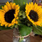 Hello Sunshine