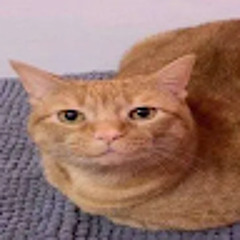 Pil