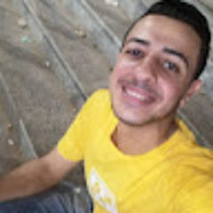 Mahmoud waheed Moustafa