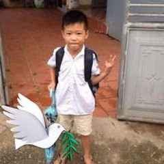 Viet Anh
