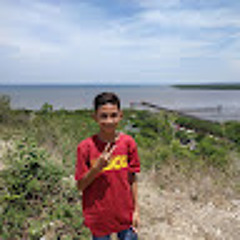 Yahya Ardi