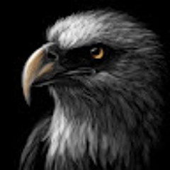 Bálint Dániel Felder