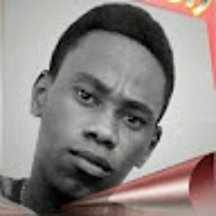 Schoeudambert Job Vilfort