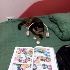 박현서