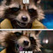 IAMROCKET RACOON
