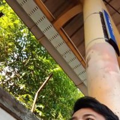 Phitok Novian