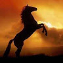 viki.fenykova@gmail.com