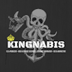 Ismael Ayoubi (Kingnabis)