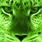 green beast