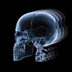 terminatorz audioz