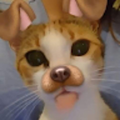 Trọng Định