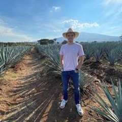 Lionberton_