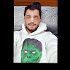 arian fallahi