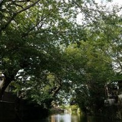 増田 風華