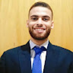 Mohamed Ibrahim