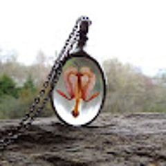 Tsvetelina Stoilkova