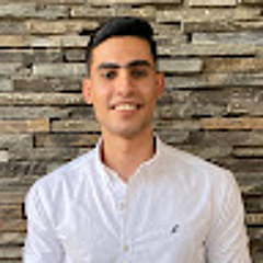 Mohamed Hamed