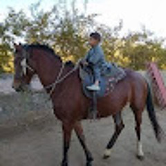 yaser Aldarwesh