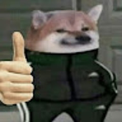 ¡ ʜᴜᴍᴀɴ 王