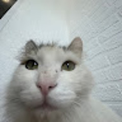 Асем Фархаткызы