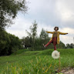 Liina Aleks