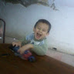 tomifonseca