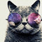 Xx_Mukulo_xX hip Hoper