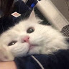 L ar