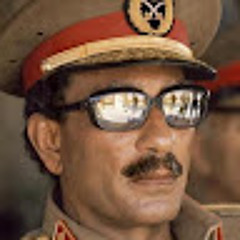 ali hashm
