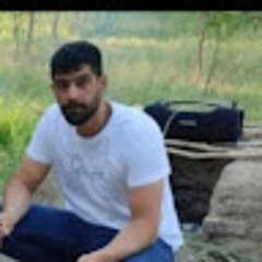 محسن عابدی