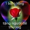 Thích Đủ Thứ