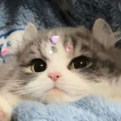 Chidchanok ʚĭɞ