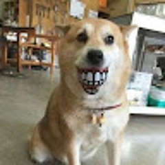 정세현