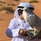 شافي سعيد