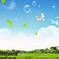 Abo yousef Abo yousef