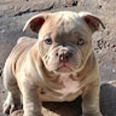 Giovanni Farias-Pintor