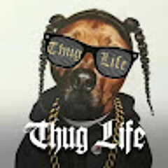 T.N.G