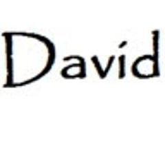 David Christian Permadi