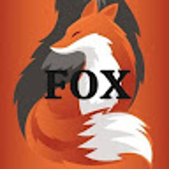 Henrique Fox