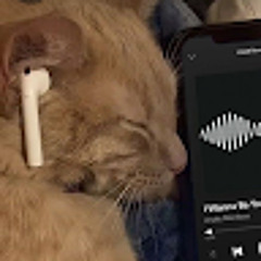 Gabriel Bailon Valdez