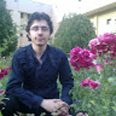 seyyed erfan asadi