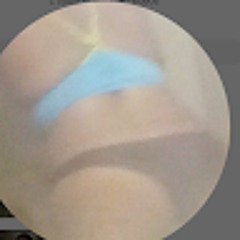 Shanolly Demetra Whaley